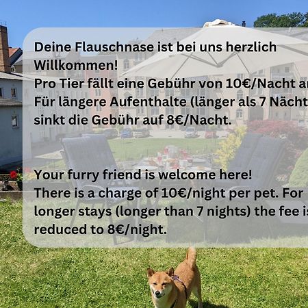 F1 - Urlaubsmagie - Helle Wohnung Mit Sauna & Pool & Whirlpool Sebnitz Kültér fotó