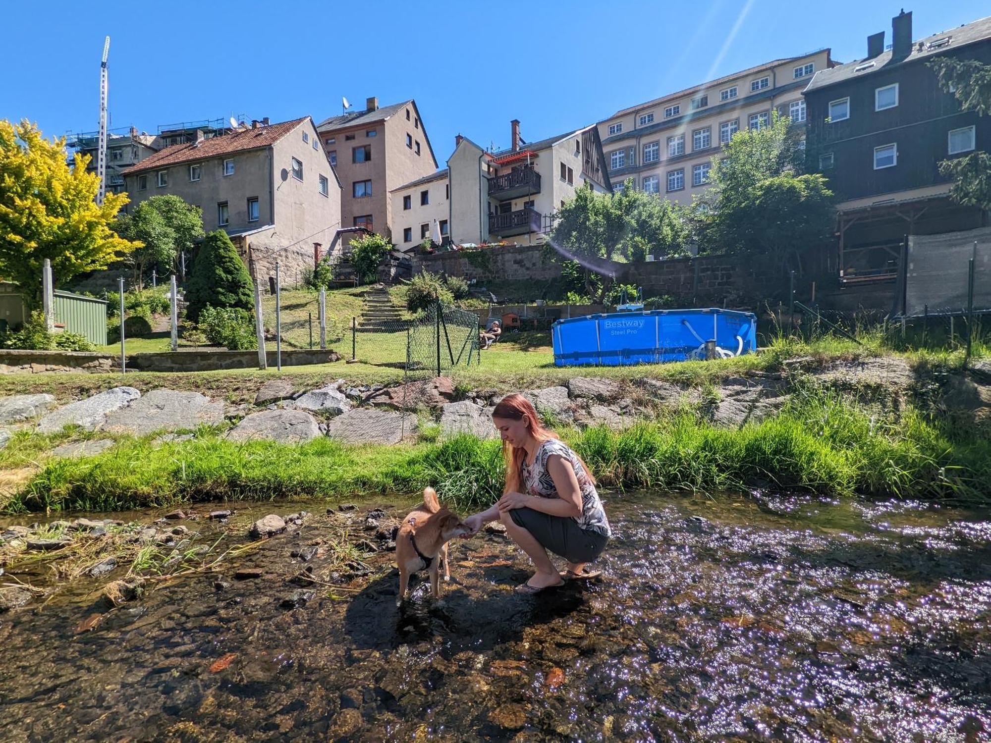 F1 - Urlaubsmagie - Helle Wohnung Mit Sauna & Pool & Whirlpool Sebnitz Kültér fotó