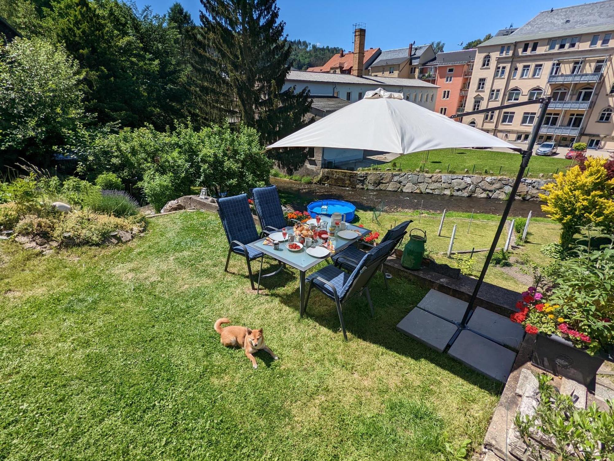 F1 - Urlaubsmagie - Helle Wohnung Mit Sauna & Pool & Whirlpool Sebnitz Kültér fotó