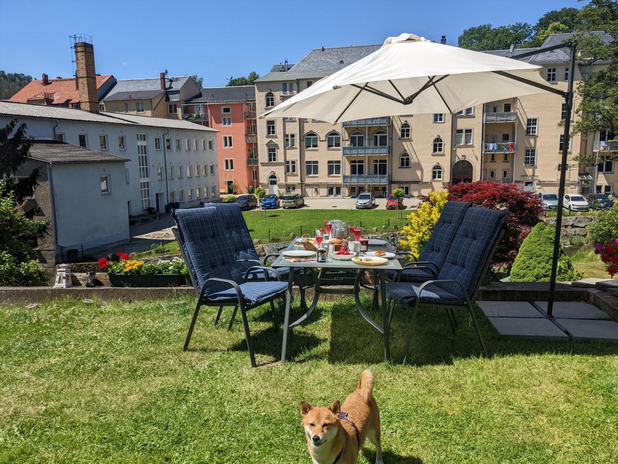F1 - Urlaubsmagie - Helle Wohnung Mit Sauna & Pool & Whirlpool Sebnitz Kültér fotó