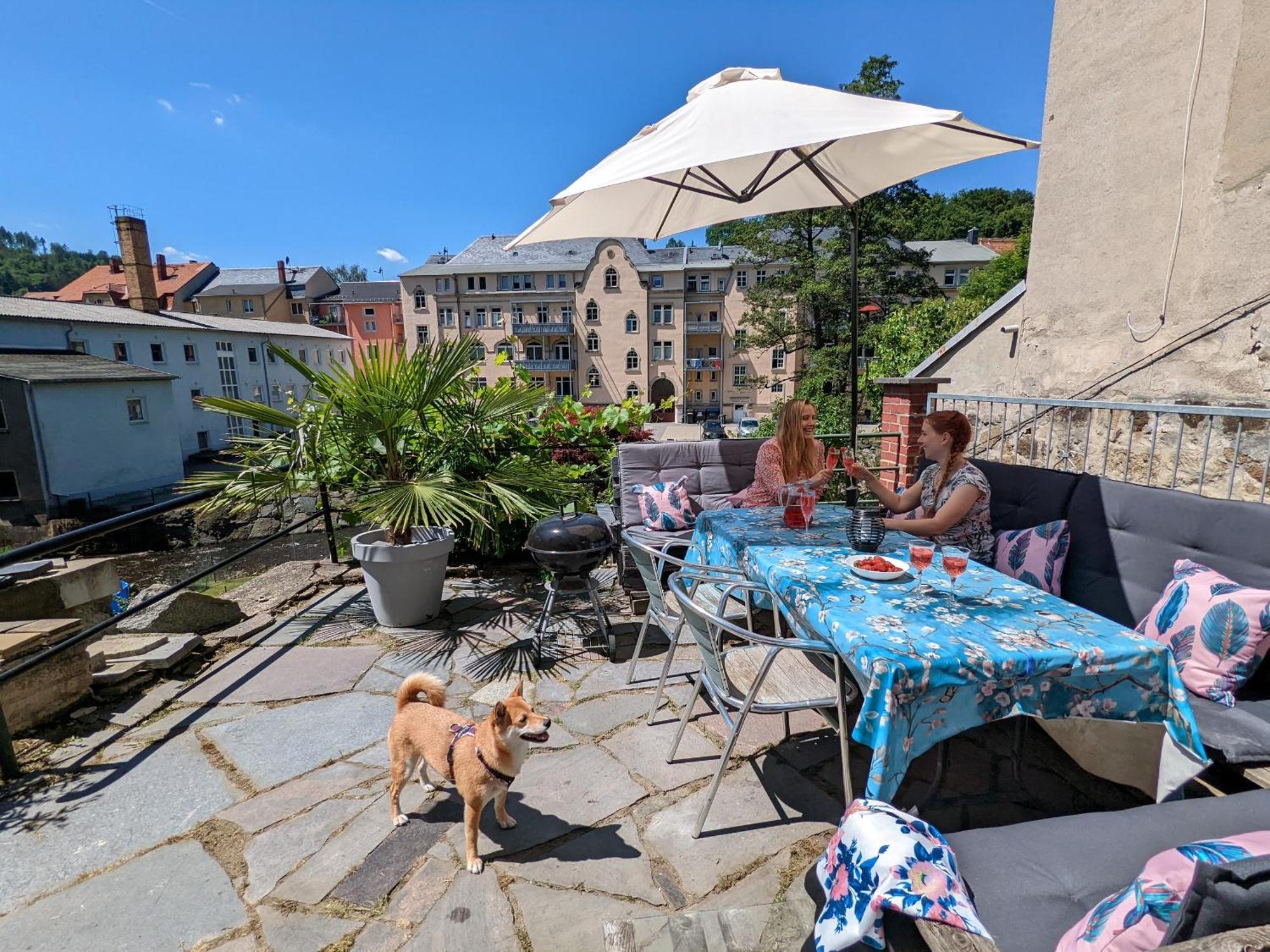 F1 - Urlaubsmagie - Helle Wohnung Mit Sauna & Pool & Whirlpool Sebnitz Kültér fotó