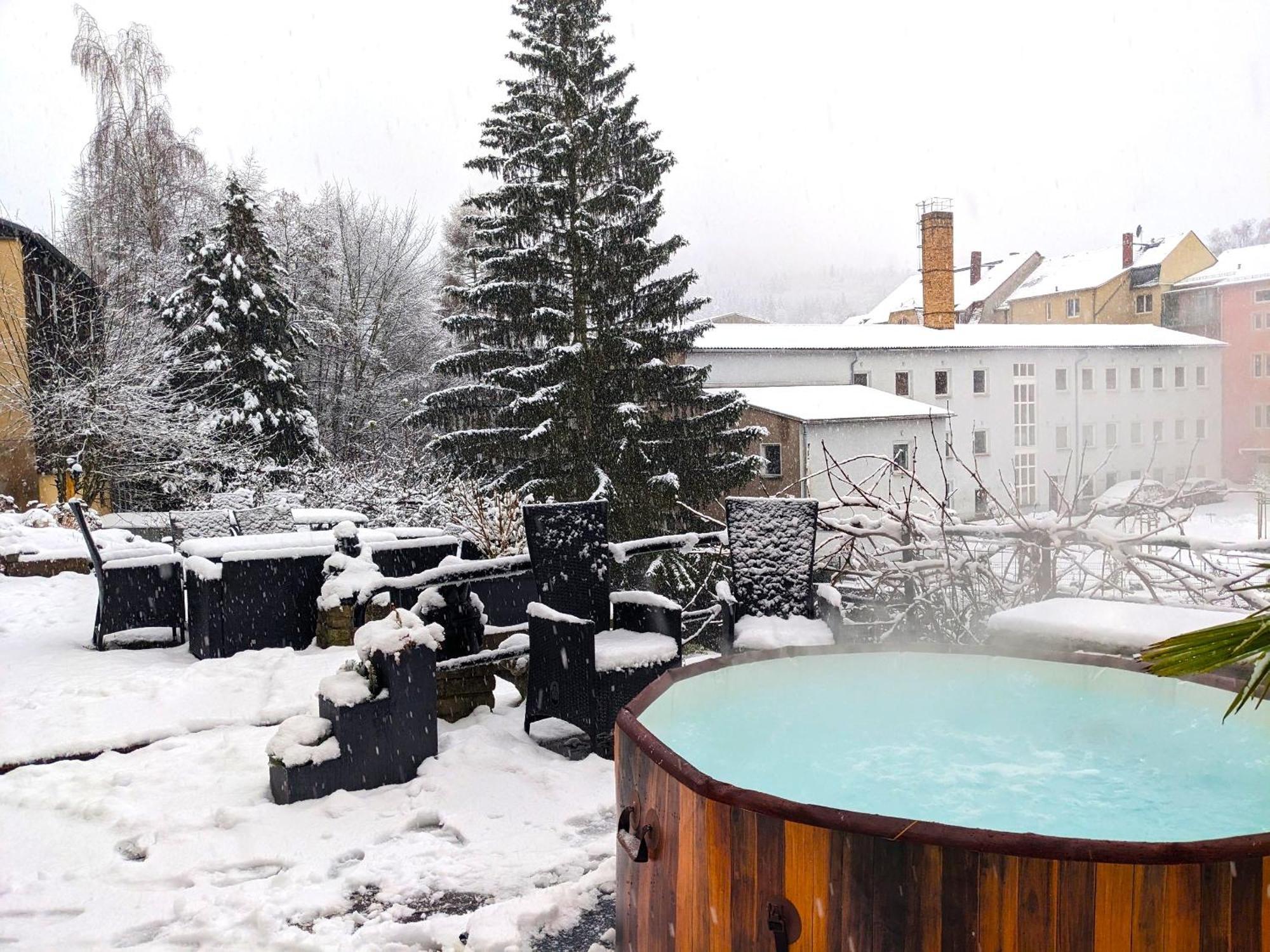 F1 - Urlaubsmagie - Helle Wohnung Mit Sauna & Pool & Whirlpool Sebnitz Kültér fotó