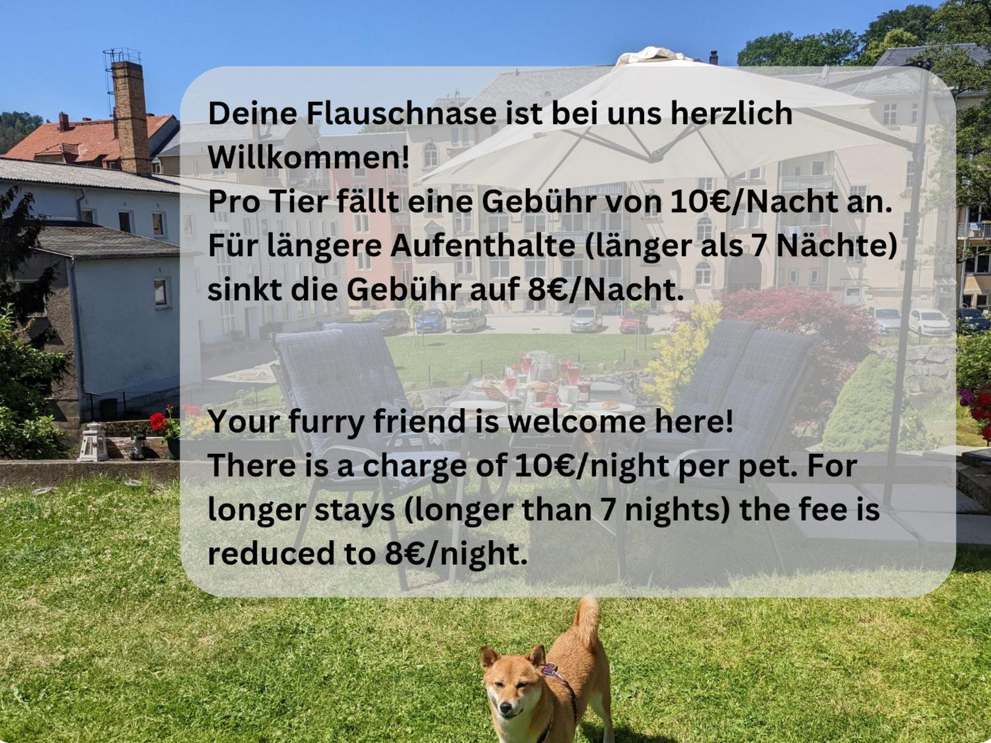 F1 - Urlaubsmagie - Helle Wohnung Mit Sauna & Pool & Whirlpool Sebnitz Kültér fotó